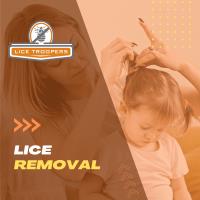 Lice Troopers Lice Removal and Lice Treatment Boca image 2